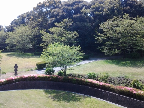 20130413_105505 (480x360).jpg