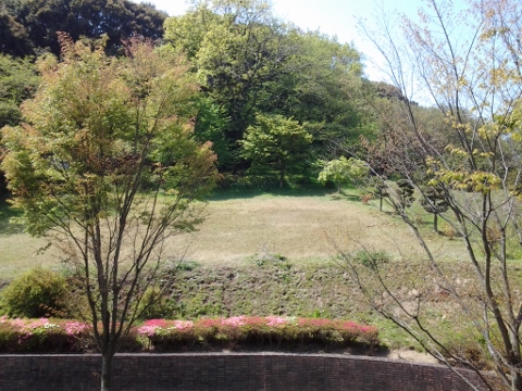 20130413_105514 (480x360).jpg