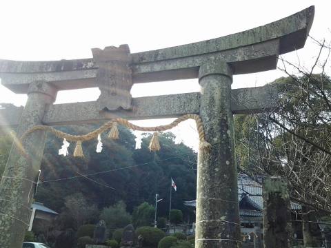 2014-02-02-15-16-08_photo (480x360).jpg