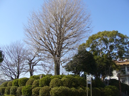 福島城 022.jpg