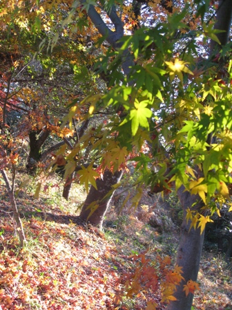 龍頭山 004.jpg