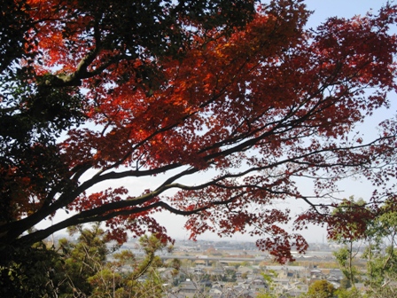 龍頭山 019.jpg