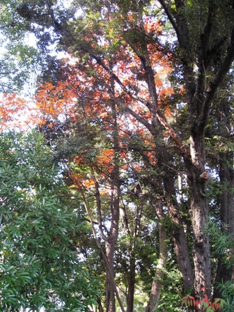 龍頭山 038.jpg