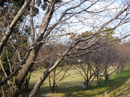 龍頭山 045.jpg
