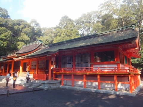 DSCF7575 (800x600).jpg