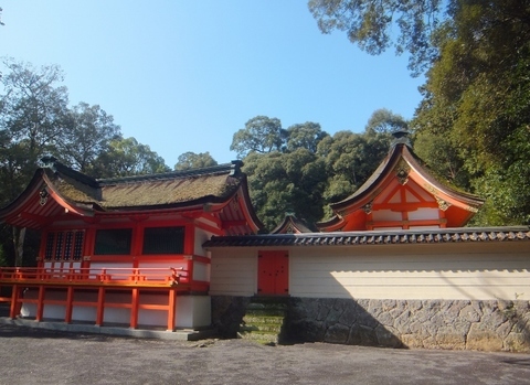 DSCF7588 (800x583).jpg
