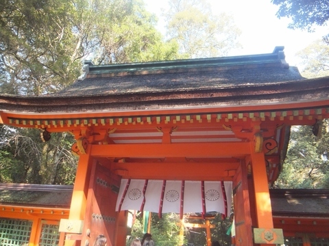 DSCF7592 (800x600).jpg