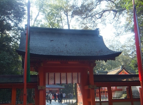 DSCF7596 (800x587).jpg