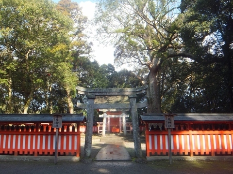DSCF7603 (800x600).jpg