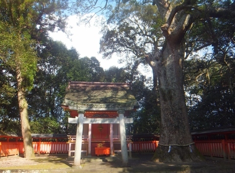 DSCF7605 (800x591).jpg