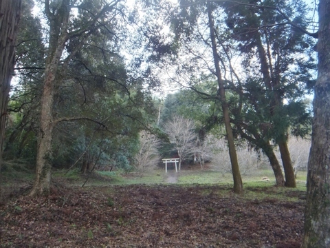 DSCF7609 (800x600).jpg
