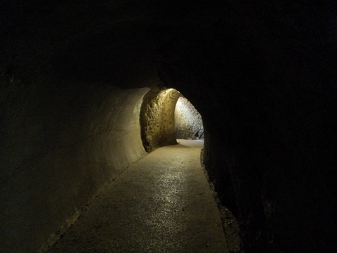 DSCF7637 (800x600).jpg