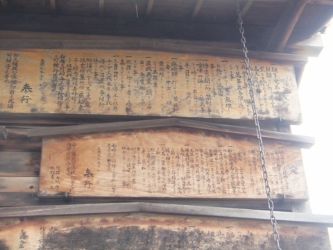 DSCF8069 (800x600).jpg