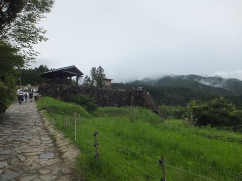 DSCF8073 (800x600).jpg