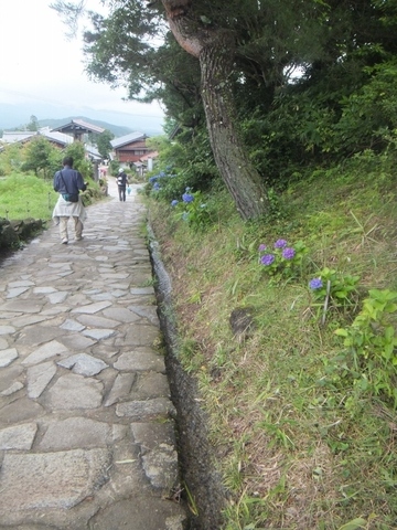 DSCF8089 (600x800).jpg