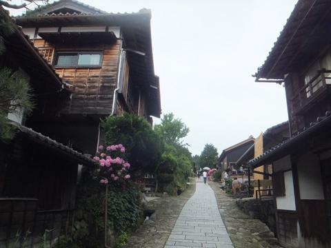 DSCF8098 (800x600).jpg