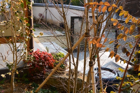 DSC_0902 (480x320).jpg