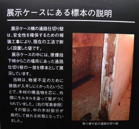 DSC_1011 (480x444).jpg