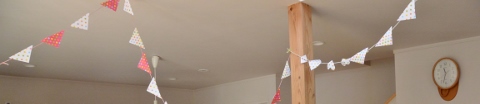 DSC_4425 (480x104).jpg