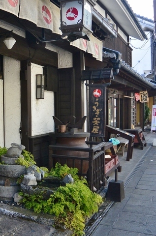 DSC_4734 (529x800).jpg