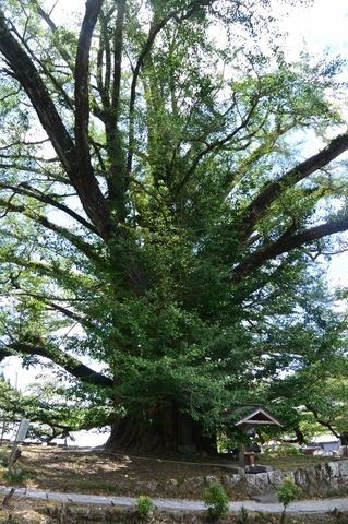 DSC_6023 (533x800).jpg