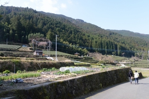 DSC_6801 (480x320).jpg