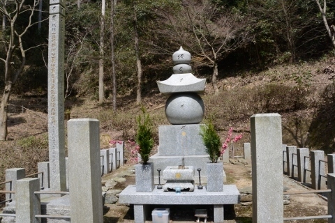 DSC_6838 (480x320).jpg
