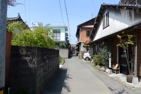 DSC_7015 (480x320).jpg