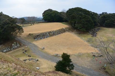 DSC_7022 (800x533).jpg