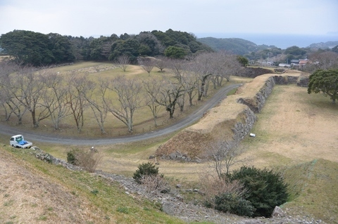 DSC_7033 (800x533).jpg