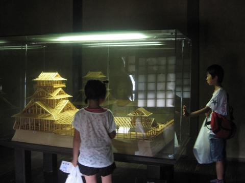 IMG_0241 (480x360).jpg