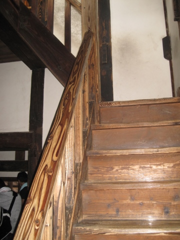 IMG_0264 (360x480).jpg