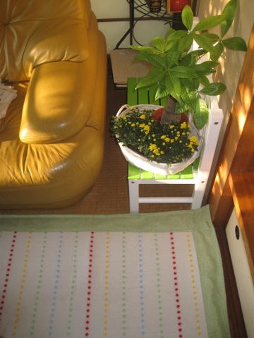 IMG_0346 (360x480).jpg