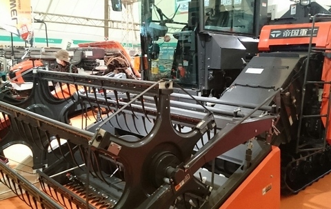 _20190204_112533 (002) (800x506).jpg