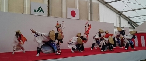 _20190204_112829 (002) (800x338).jpg