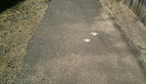 _20190313_142321 (002) (800x462).jpg