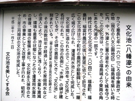 amesakura 012.jpg